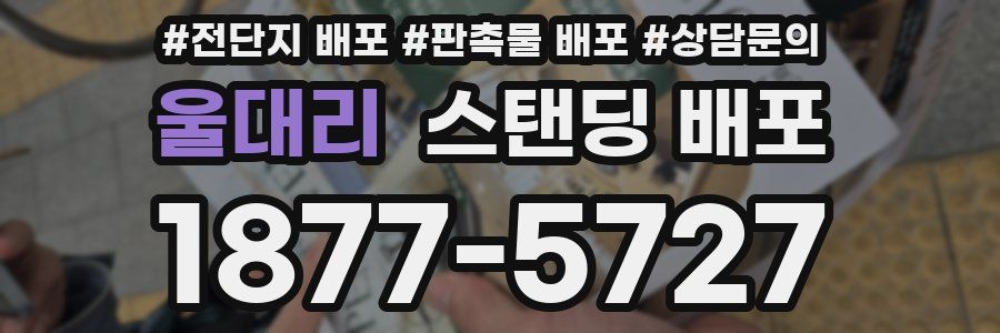 울대리 스탠딩 배포