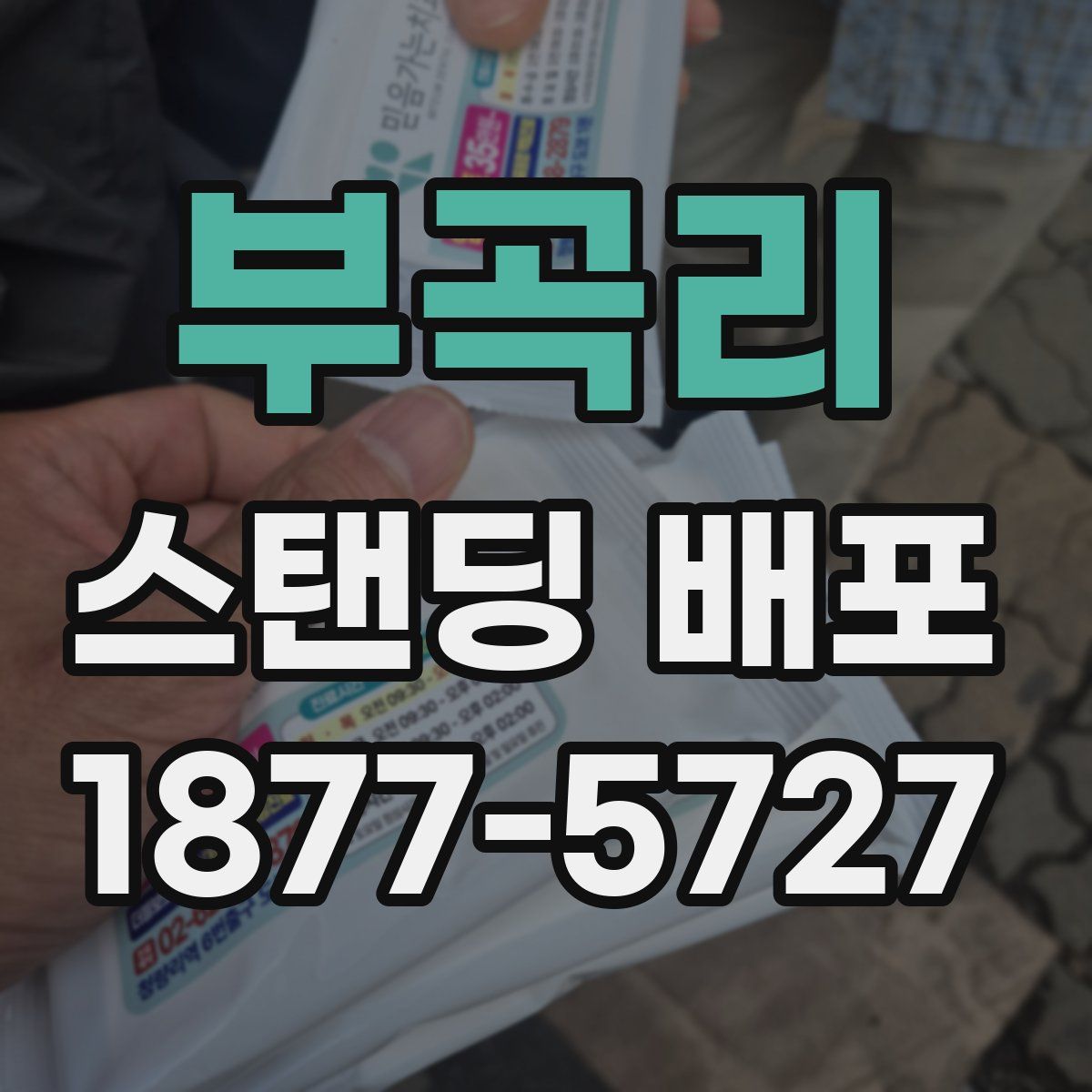 부곡리 스탠딩 배포