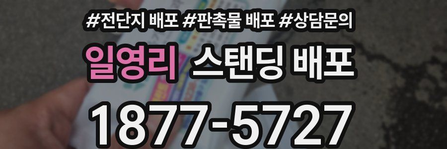 일영리 스탠딩 배포