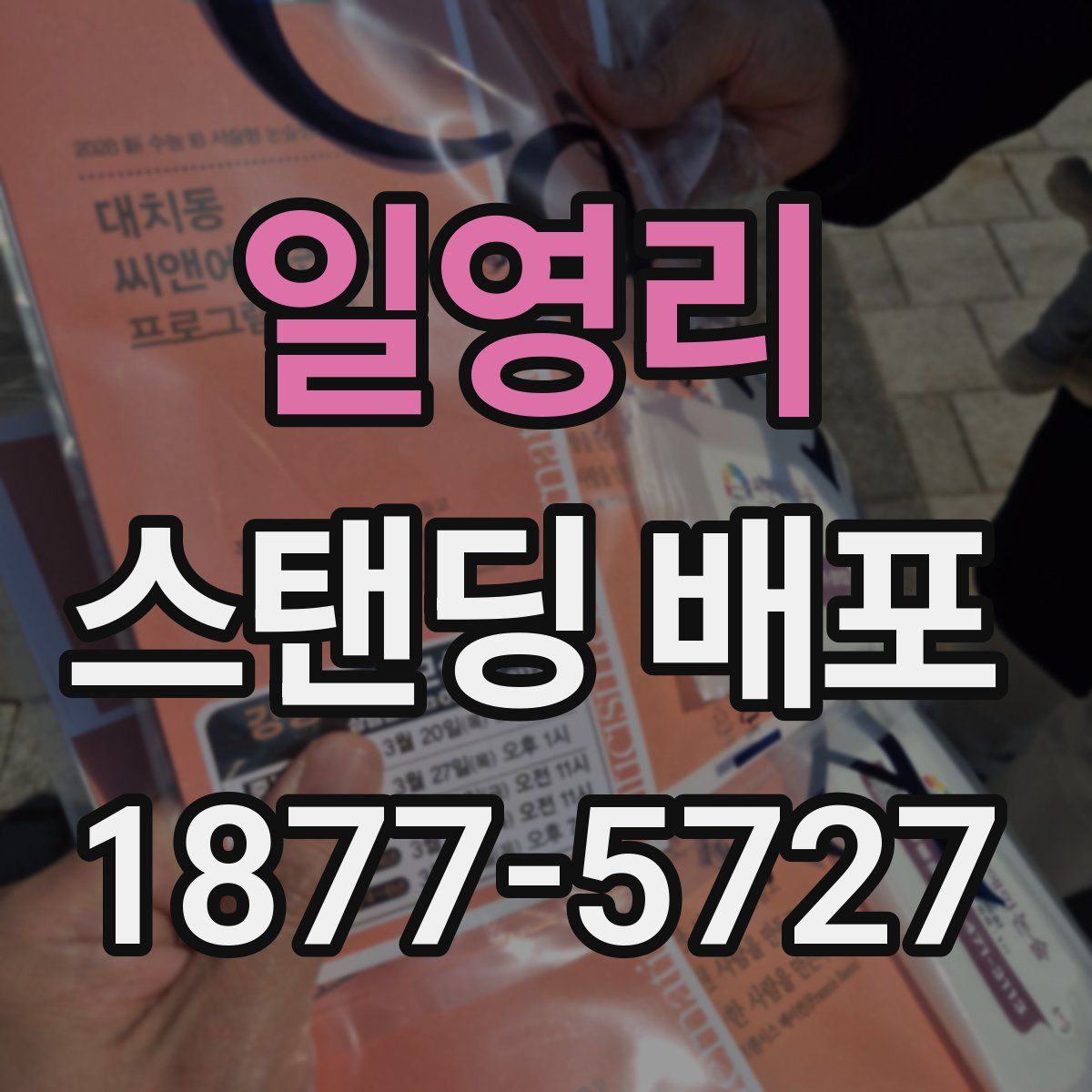 일영리 스탠딩 배포