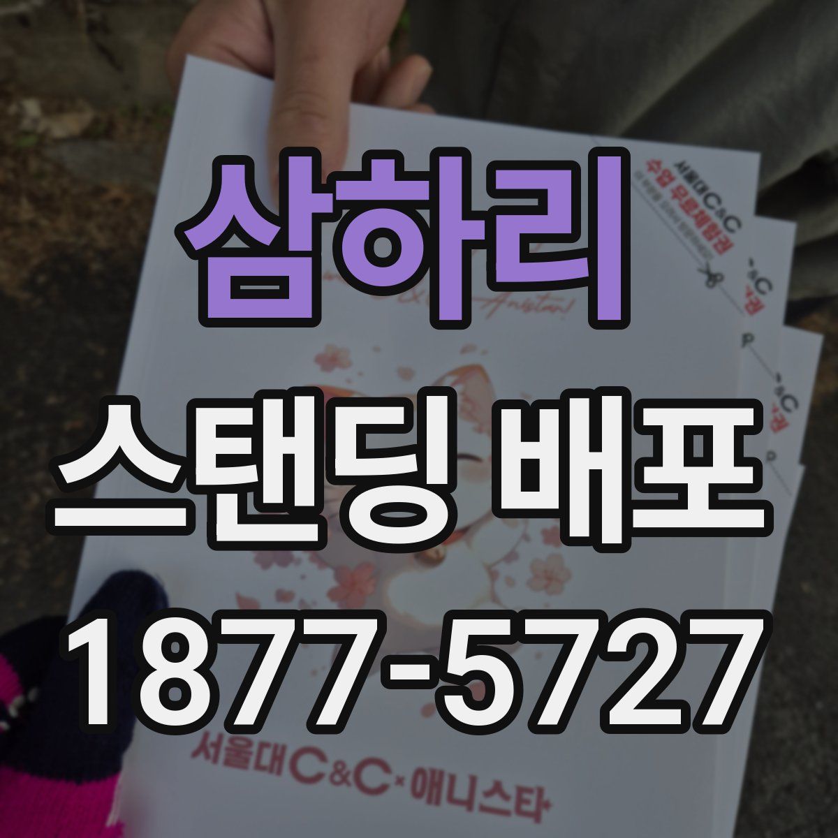 삼하리 스탠딩 배포