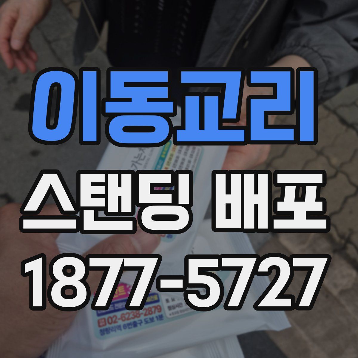이동교리 스탠딩 배포