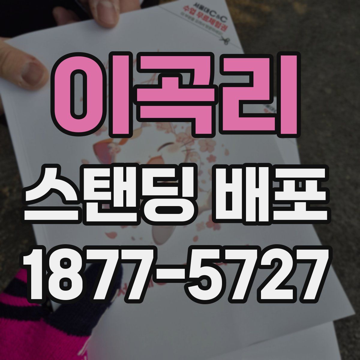 이곡리 스탠딩 배포