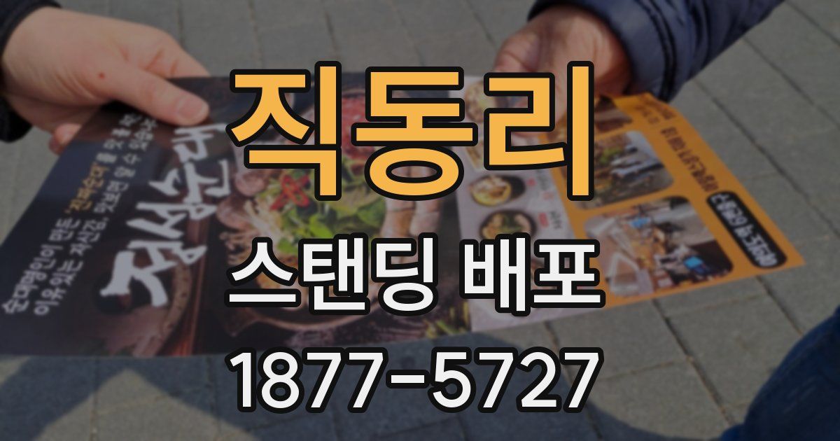 직동리 스탠딩 배포