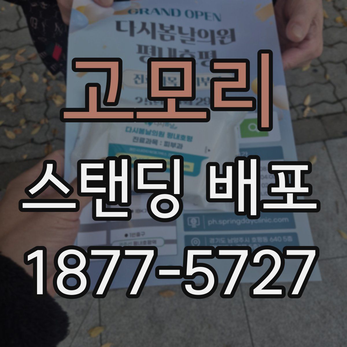 고모리 스탠딩 배포