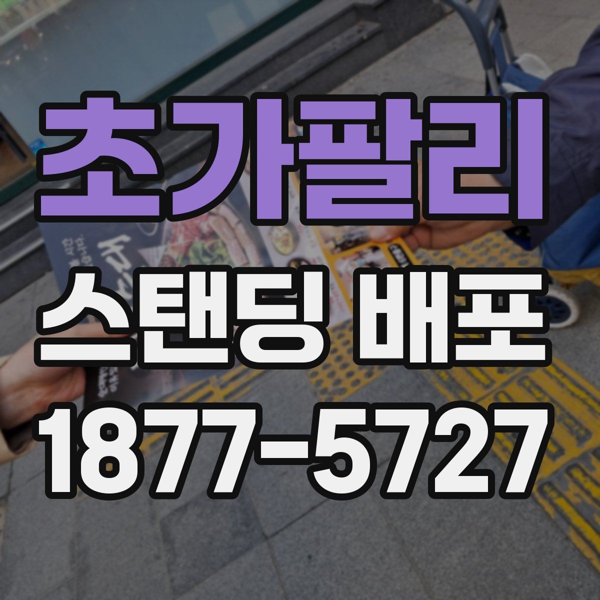 초가팔리 스탠딩 배포