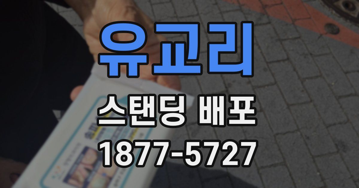 유교리 스탠딩 배포