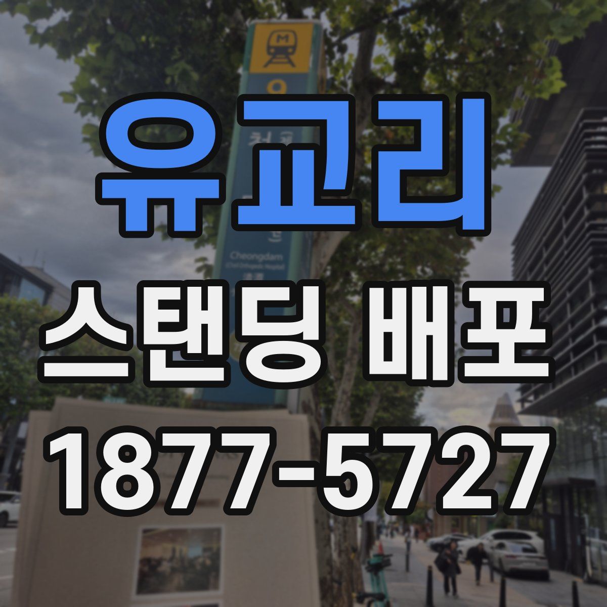 유교리 스탠딩 배포