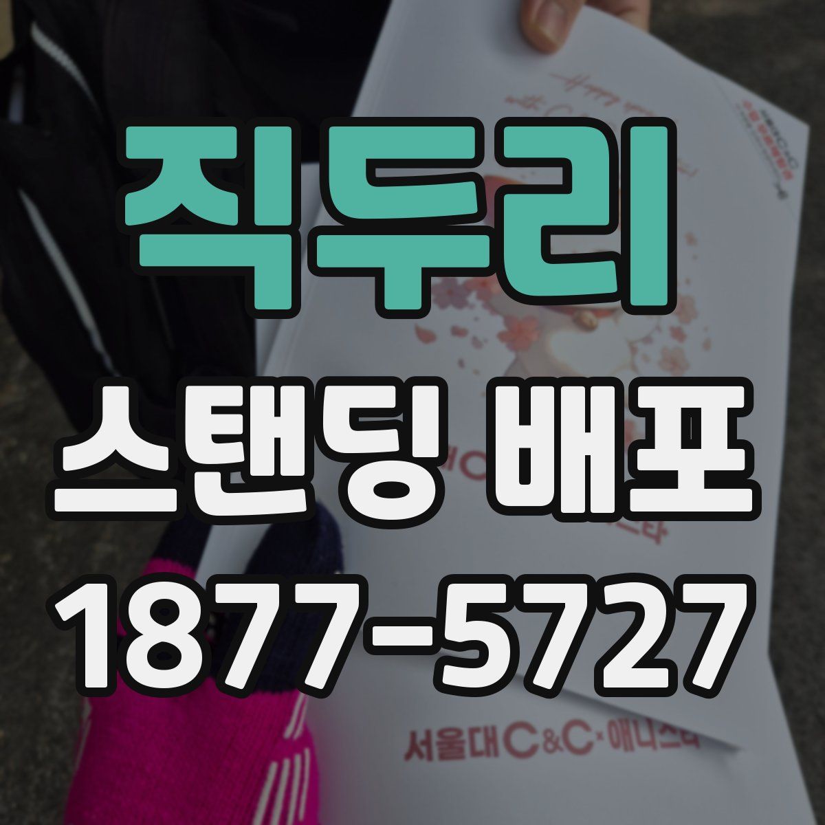 직두리 스탠딩 배포