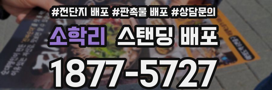 소학리 스탠딩 배포