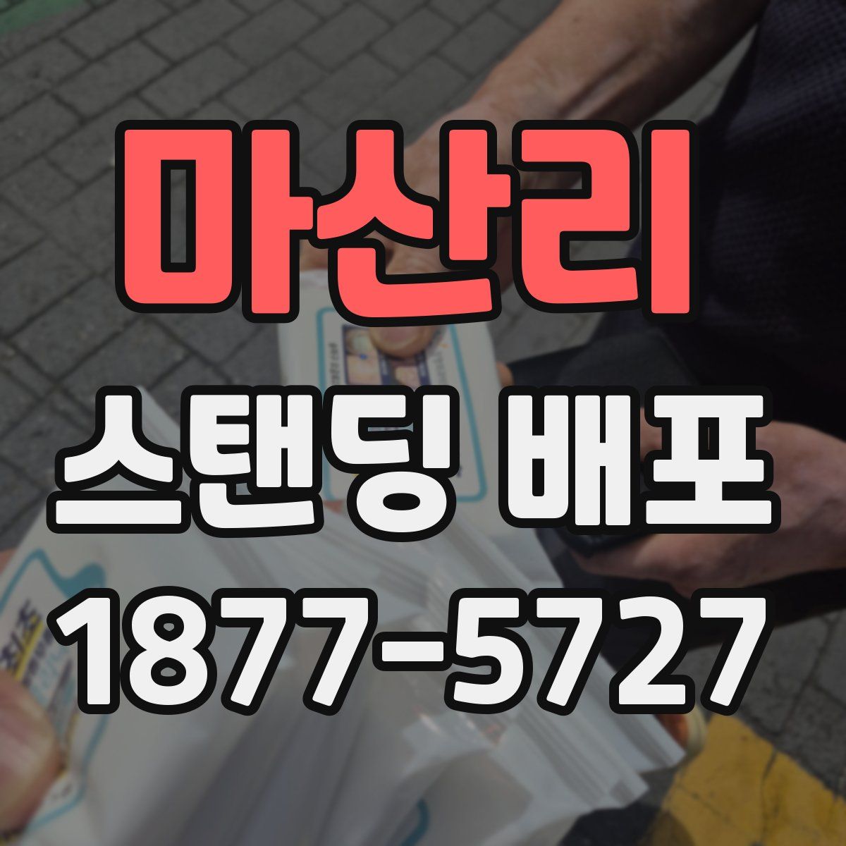 마산리 스탠딩 배포