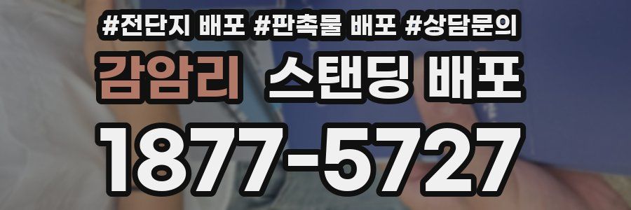 감암리 스탠딩 배포