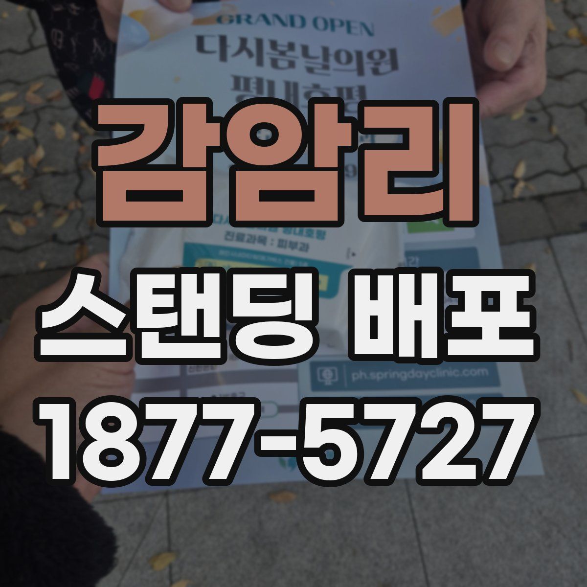 감암리 스탠딩 배포