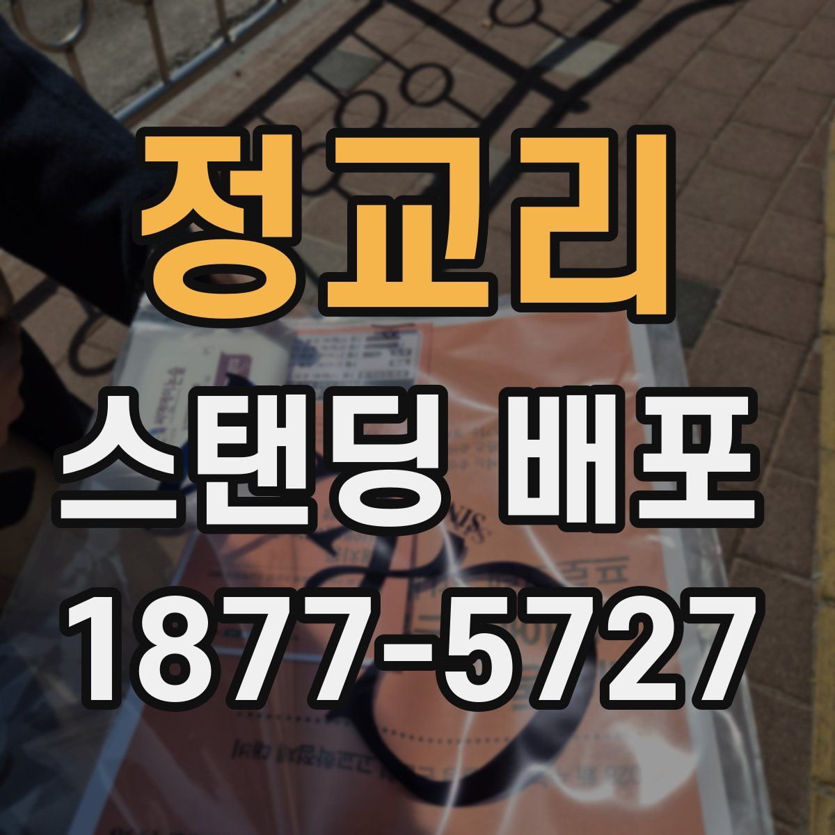 정교리 스탠딩 배포