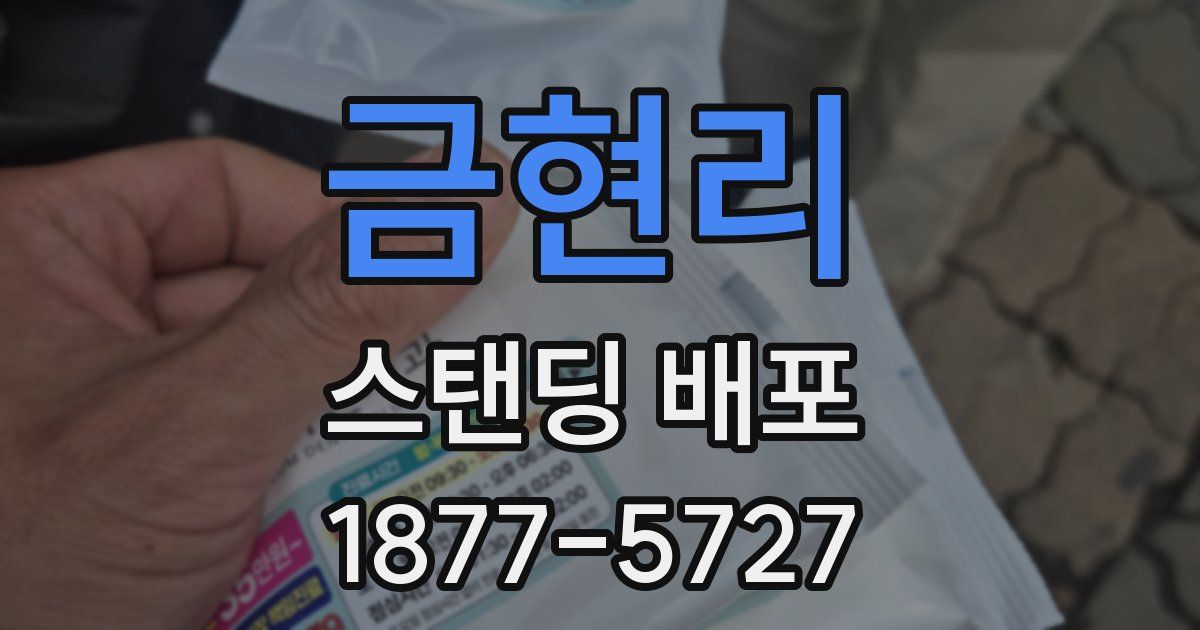 금현리 스탠딩 배포