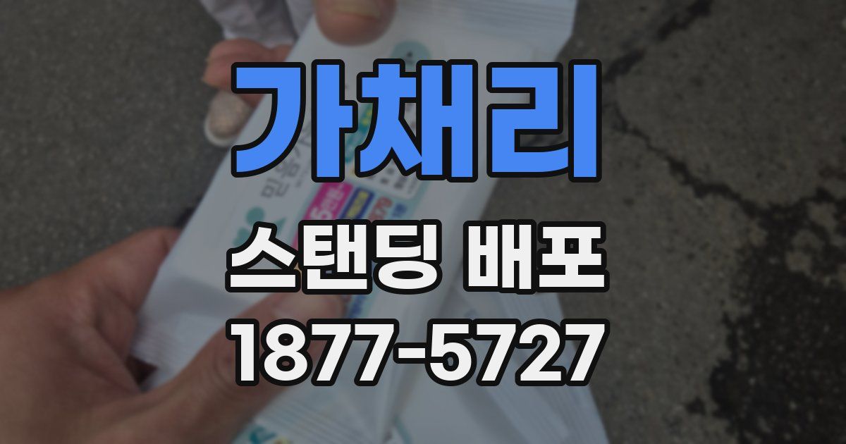 가채리 스탠딩 배포
