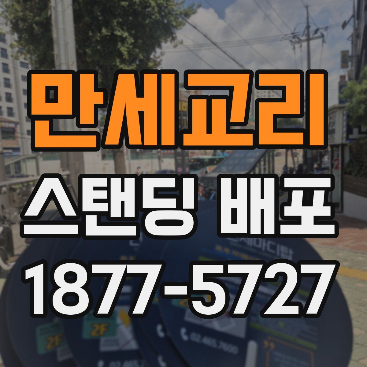 만세교리 스탠딩 배포