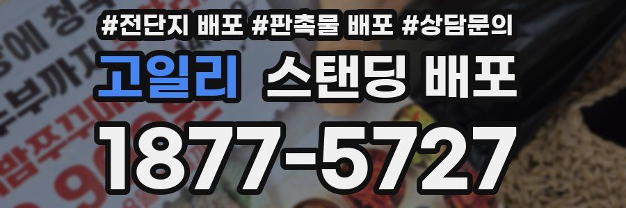 고일리 스탠딩 배포