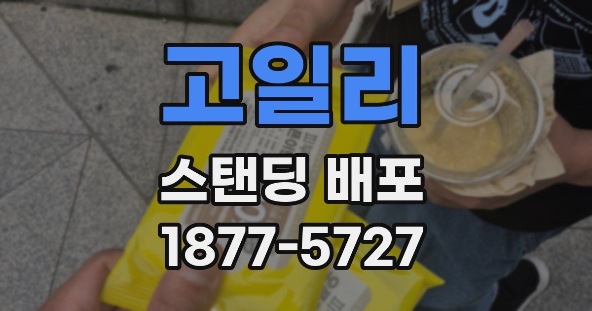 고일리 스탠딩 배포
