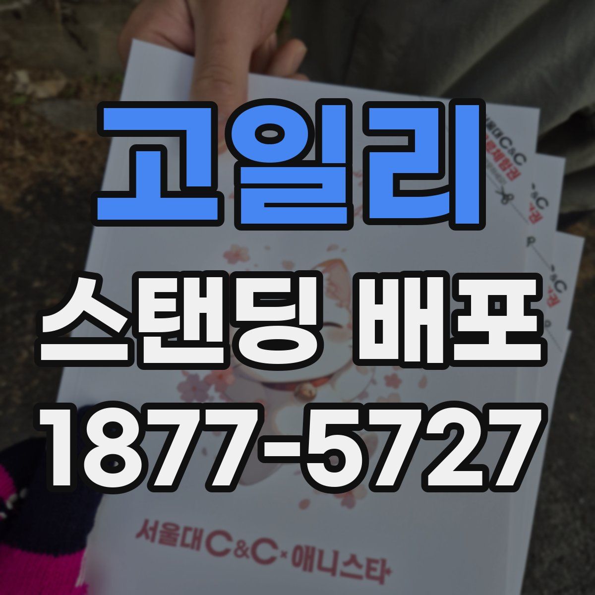 고일리 스탠딩 배포