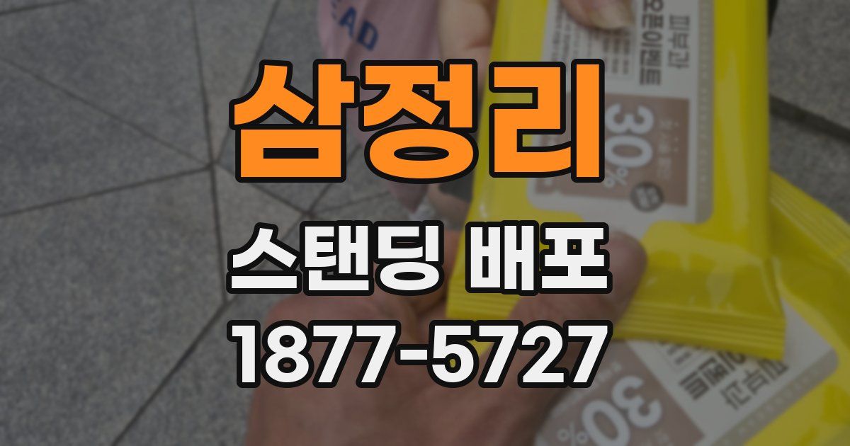 삼정리 스탠딩 배포
