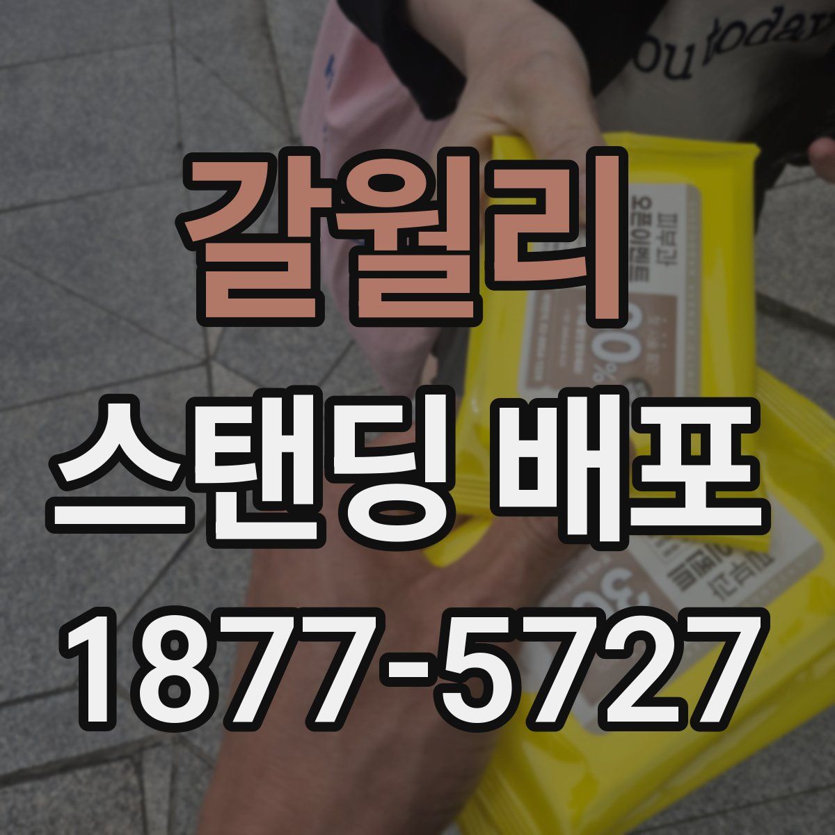 갈월리 스탠딩 배포