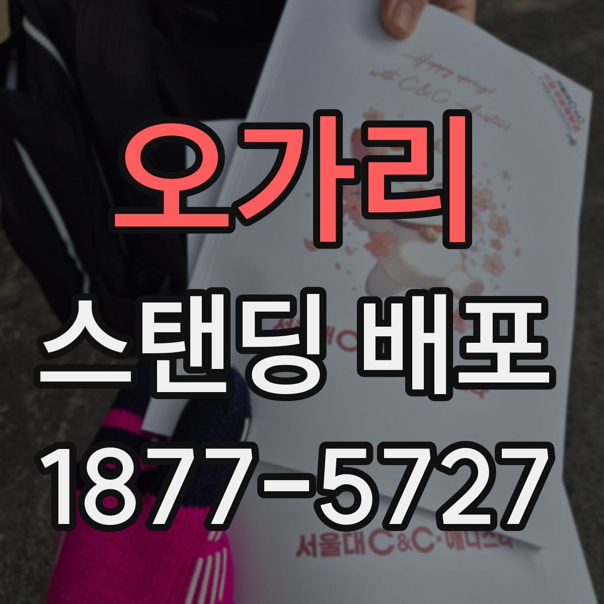 오가리 스탠딩 배포