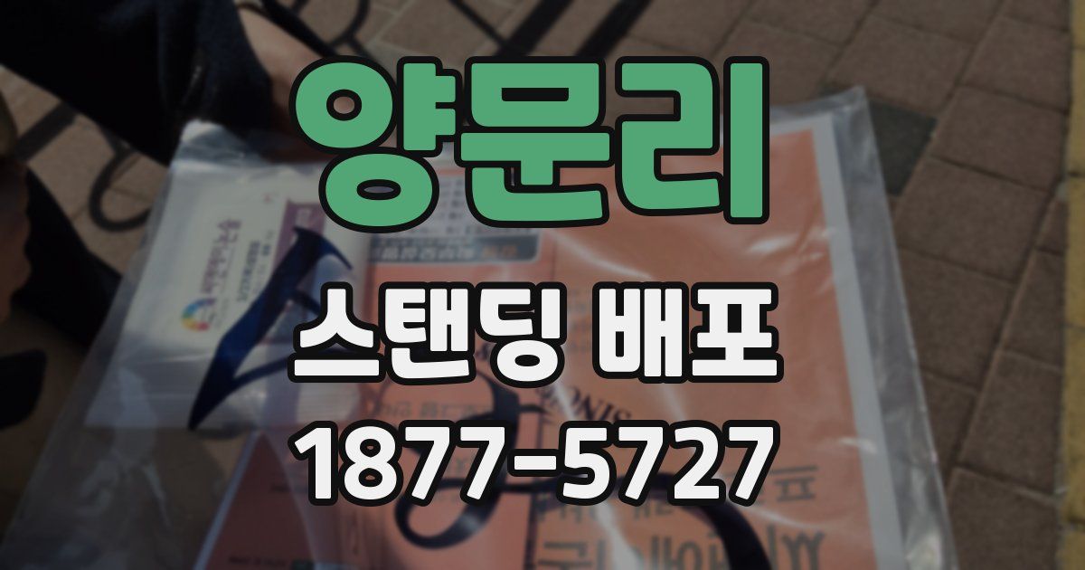 양문리 스탠딩 배포