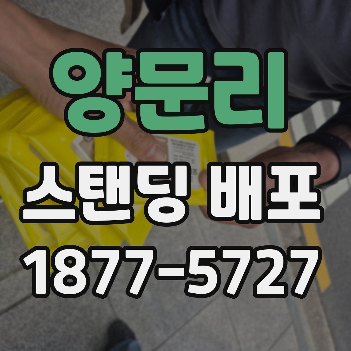 양문리 스탠딩 배포