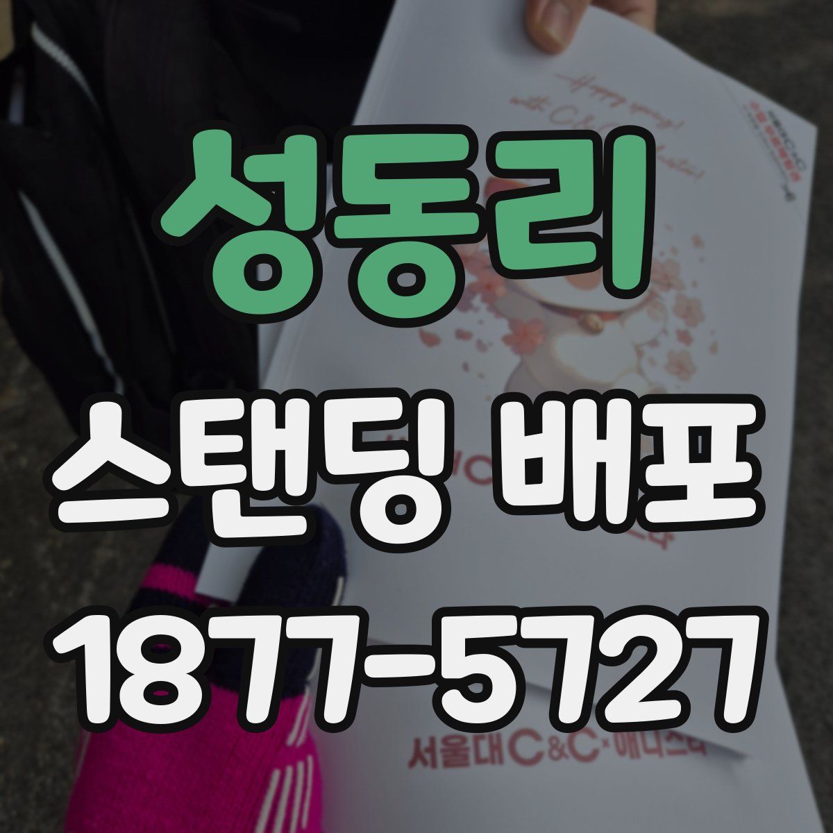 성동리 스탠딩 배포