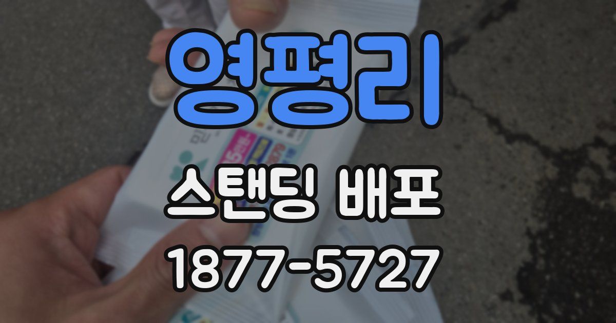 영평리 스탠딩 배포