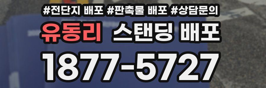 유동리 스탠딩 배포