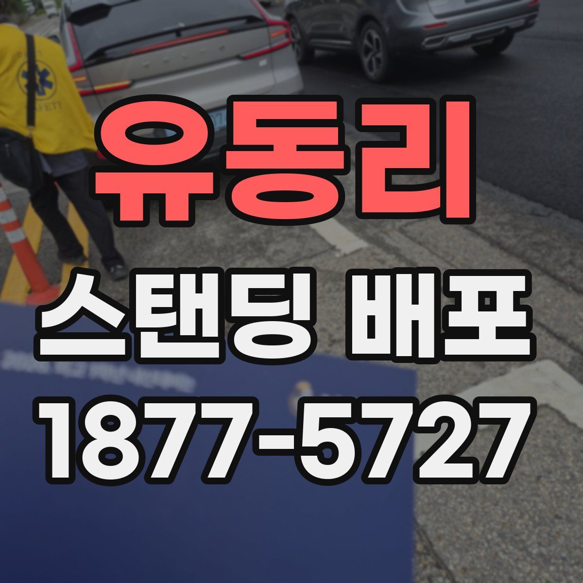 유동리 스탠딩 배포