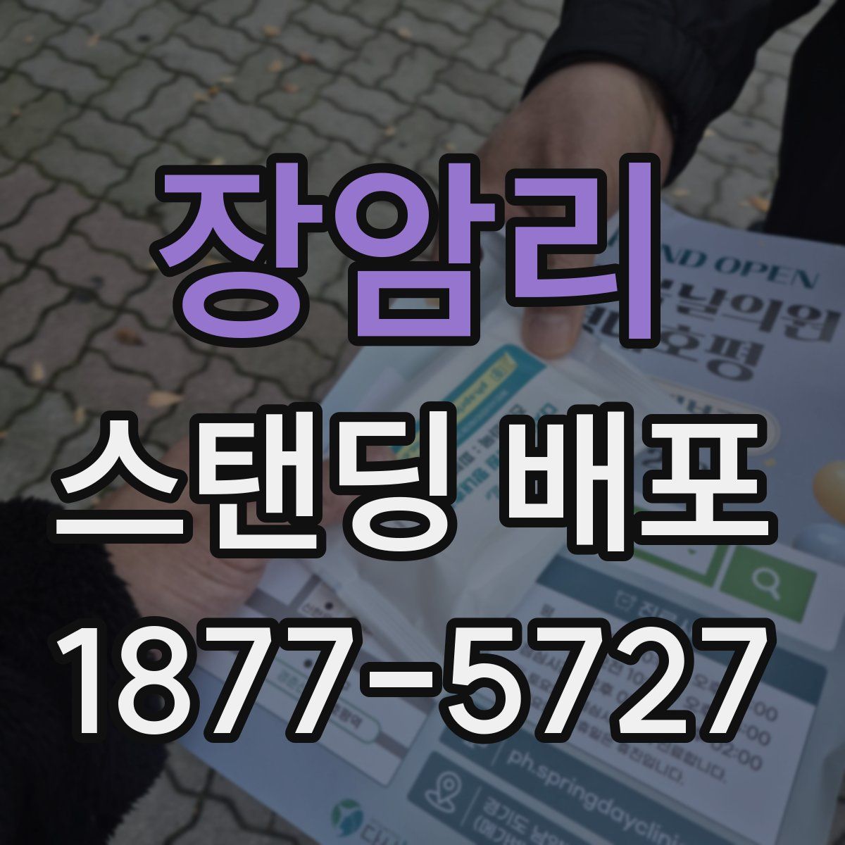 장암리 스탠딩 배포