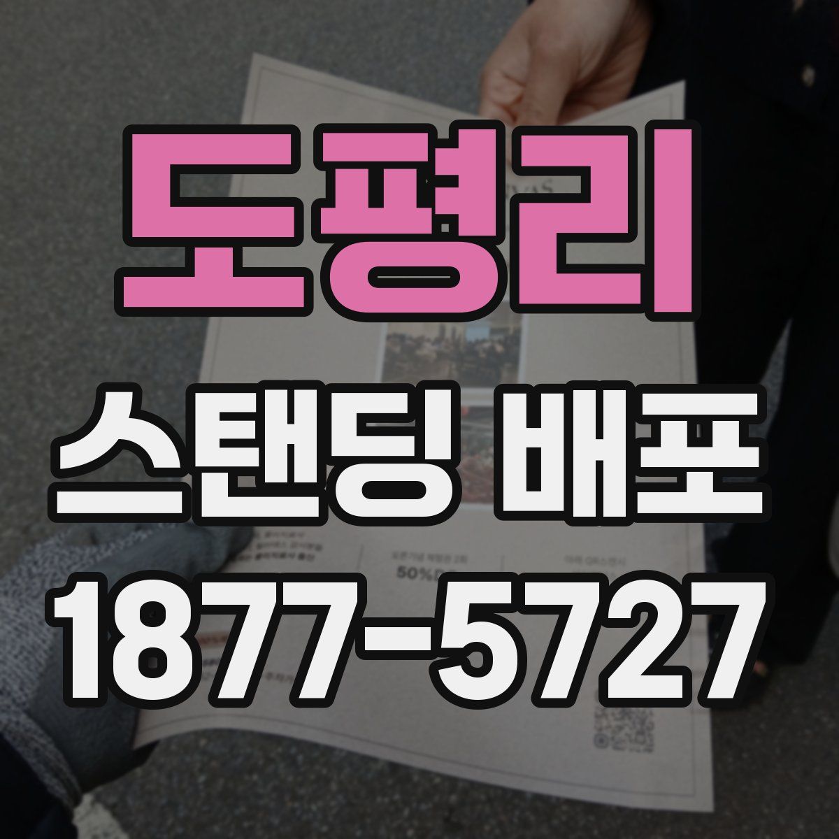 도평리 스탠딩 배포