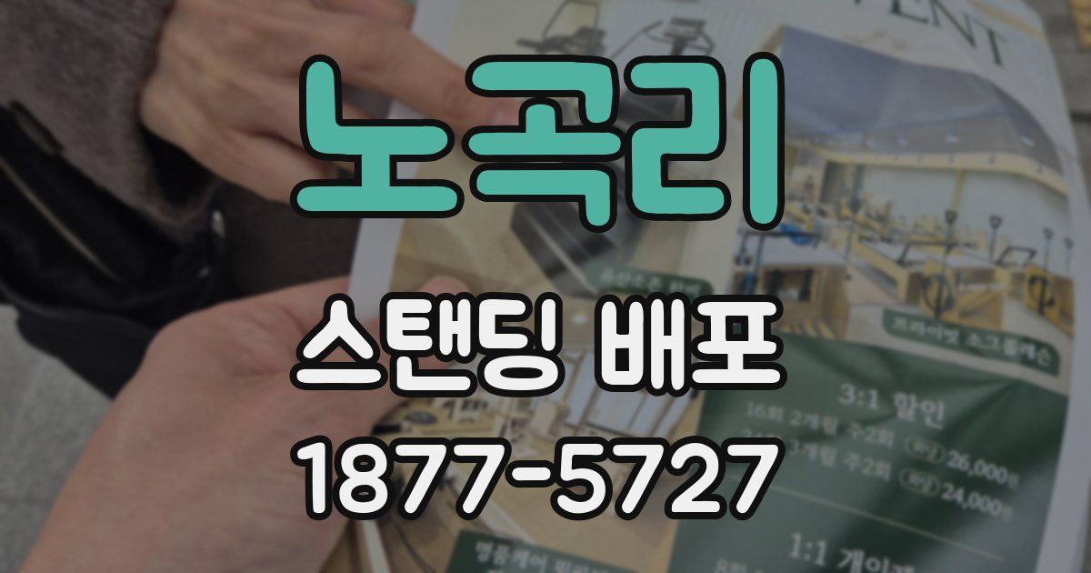 노곡리 스탠딩 배포