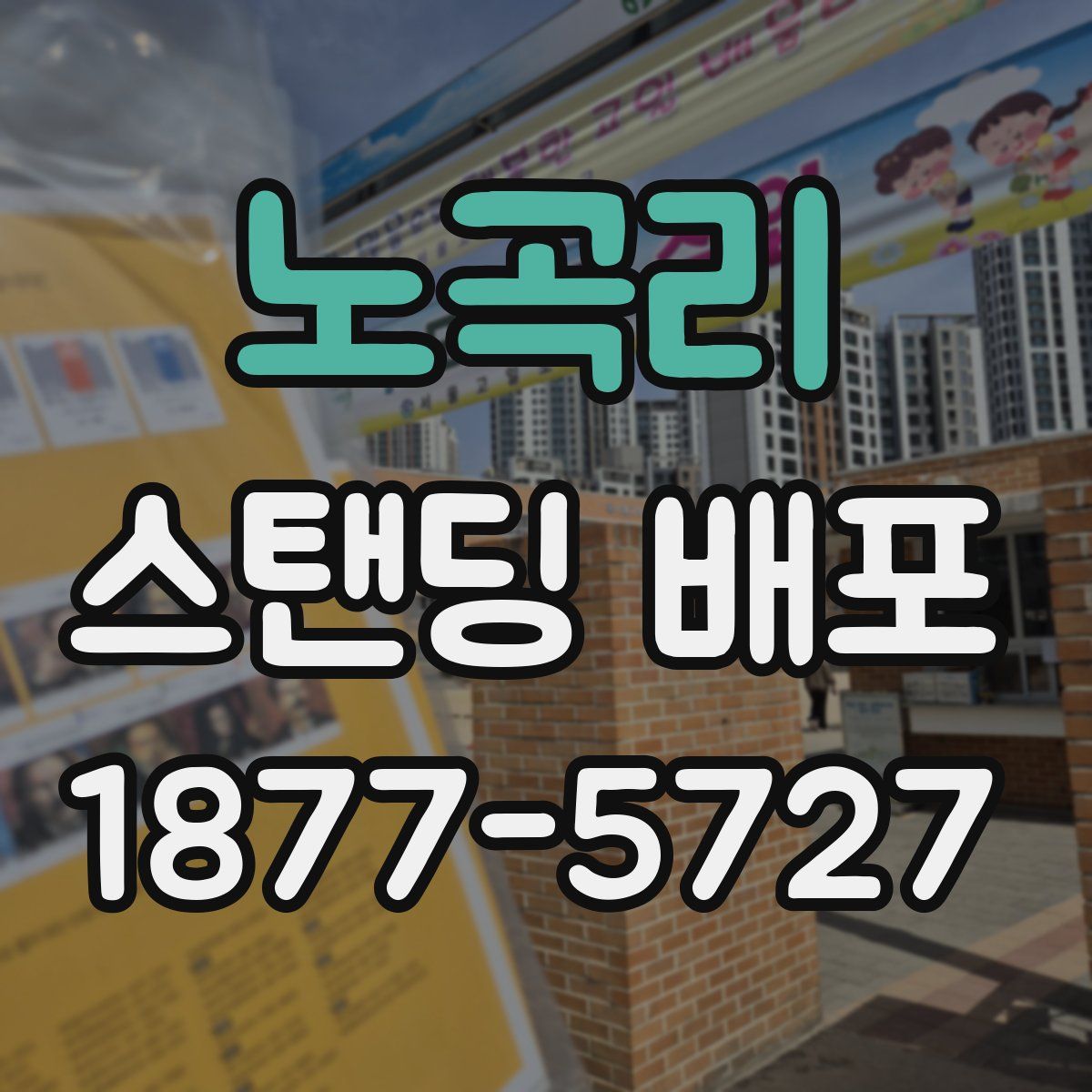 노곡리 스탠딩 배포