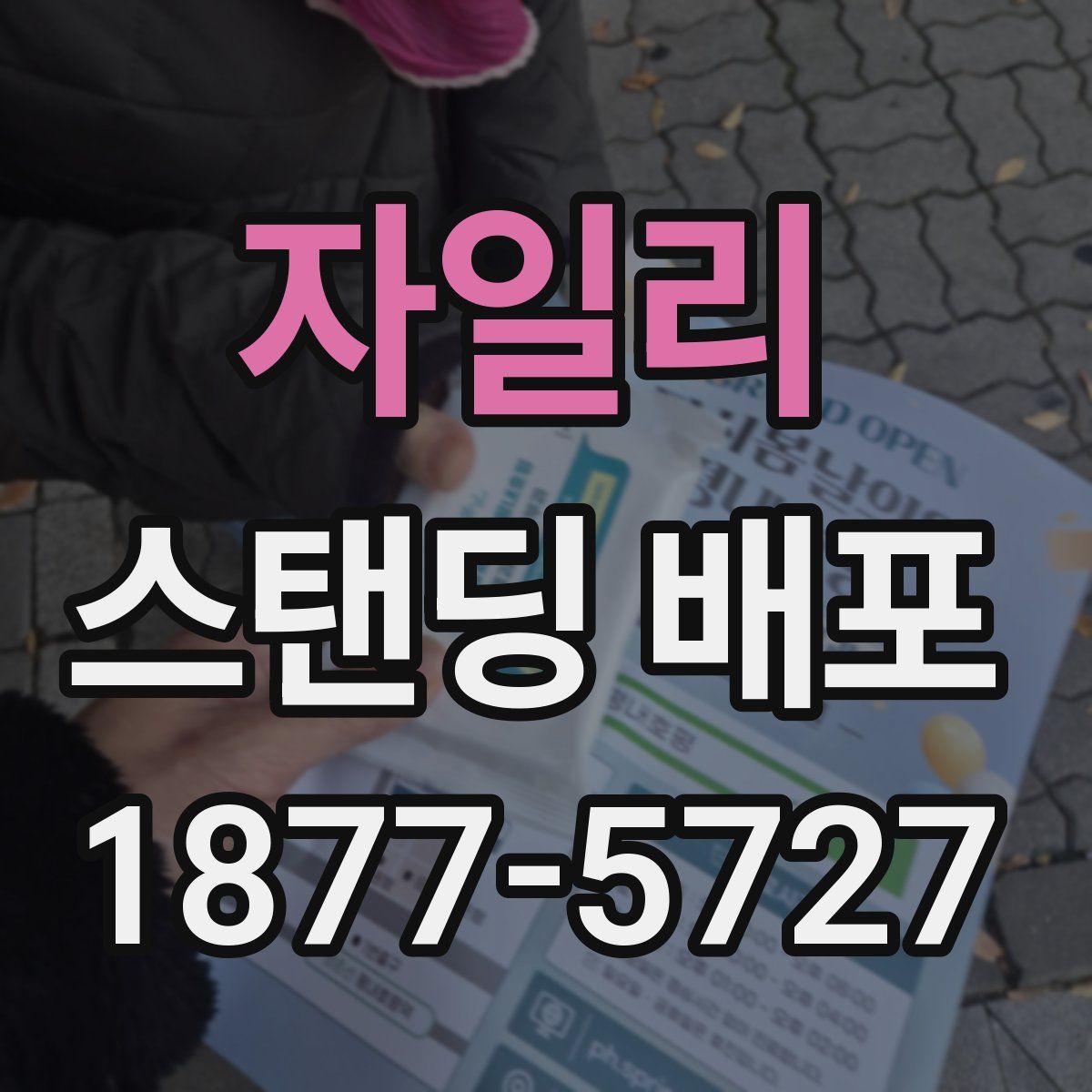 자일리 스탠딩 배포