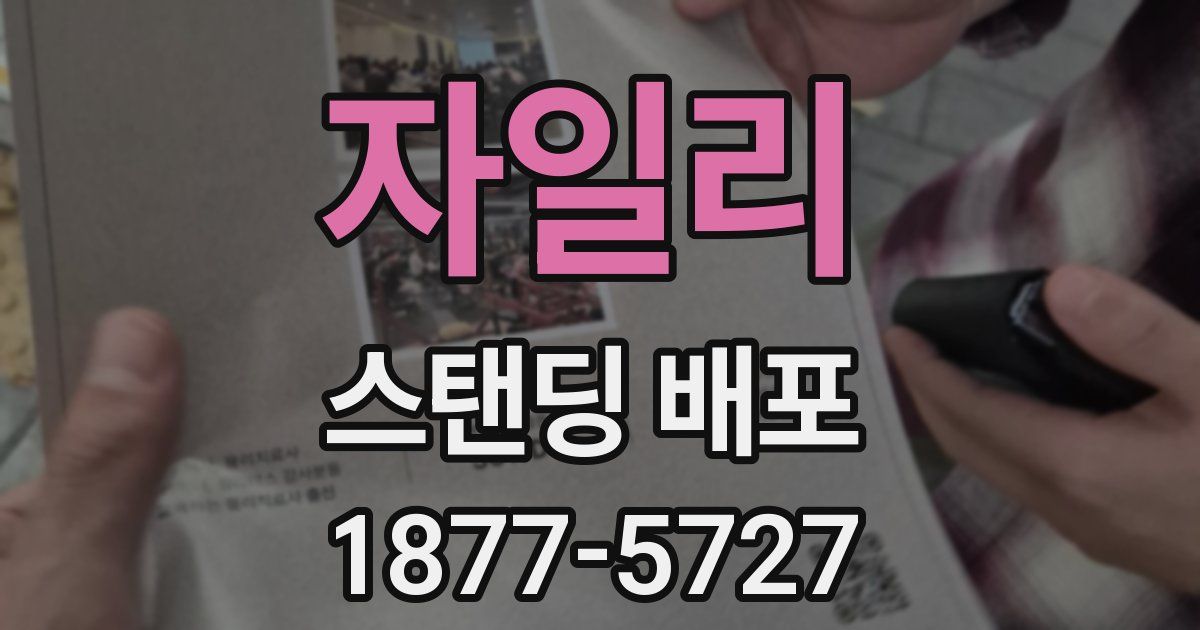 자일리 스탠딩 배포