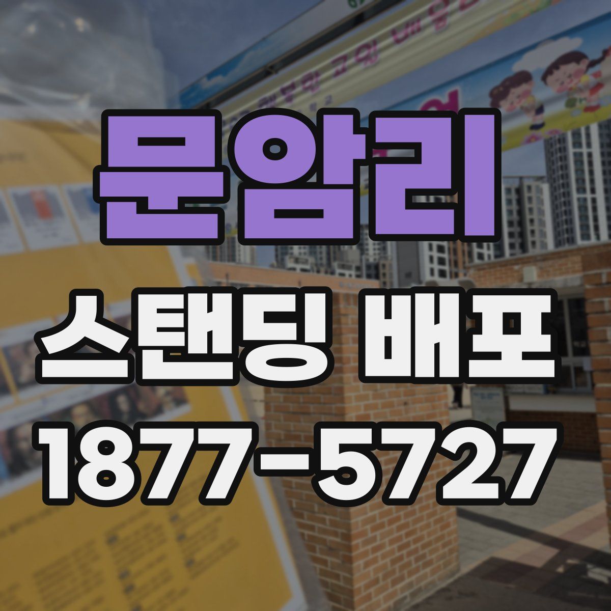 문암리 스탠딩 배포