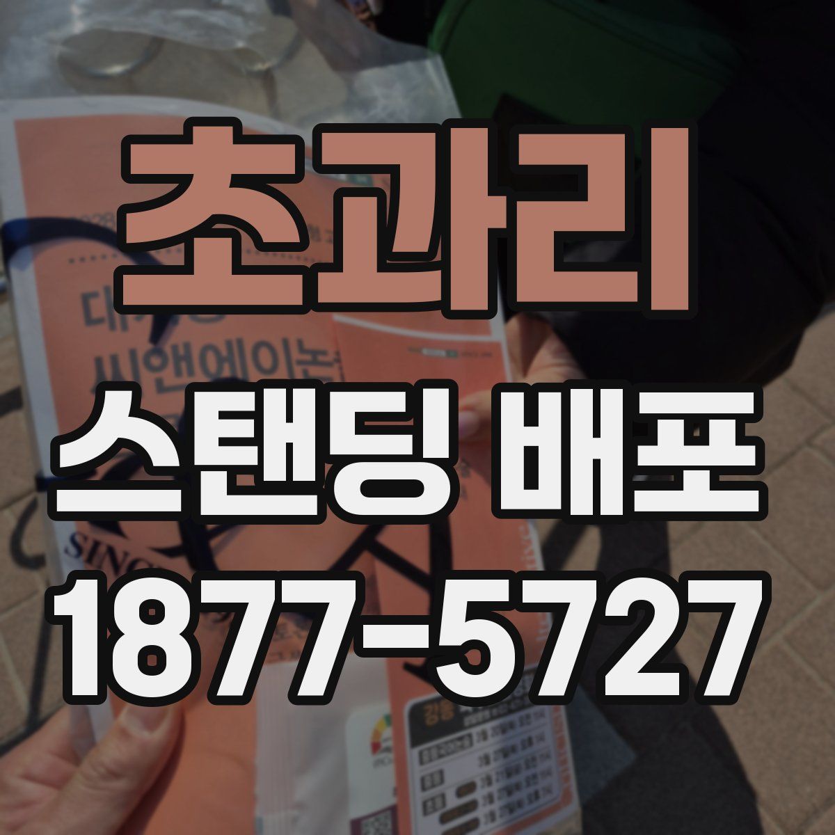 초과리 스탠딩 배포
