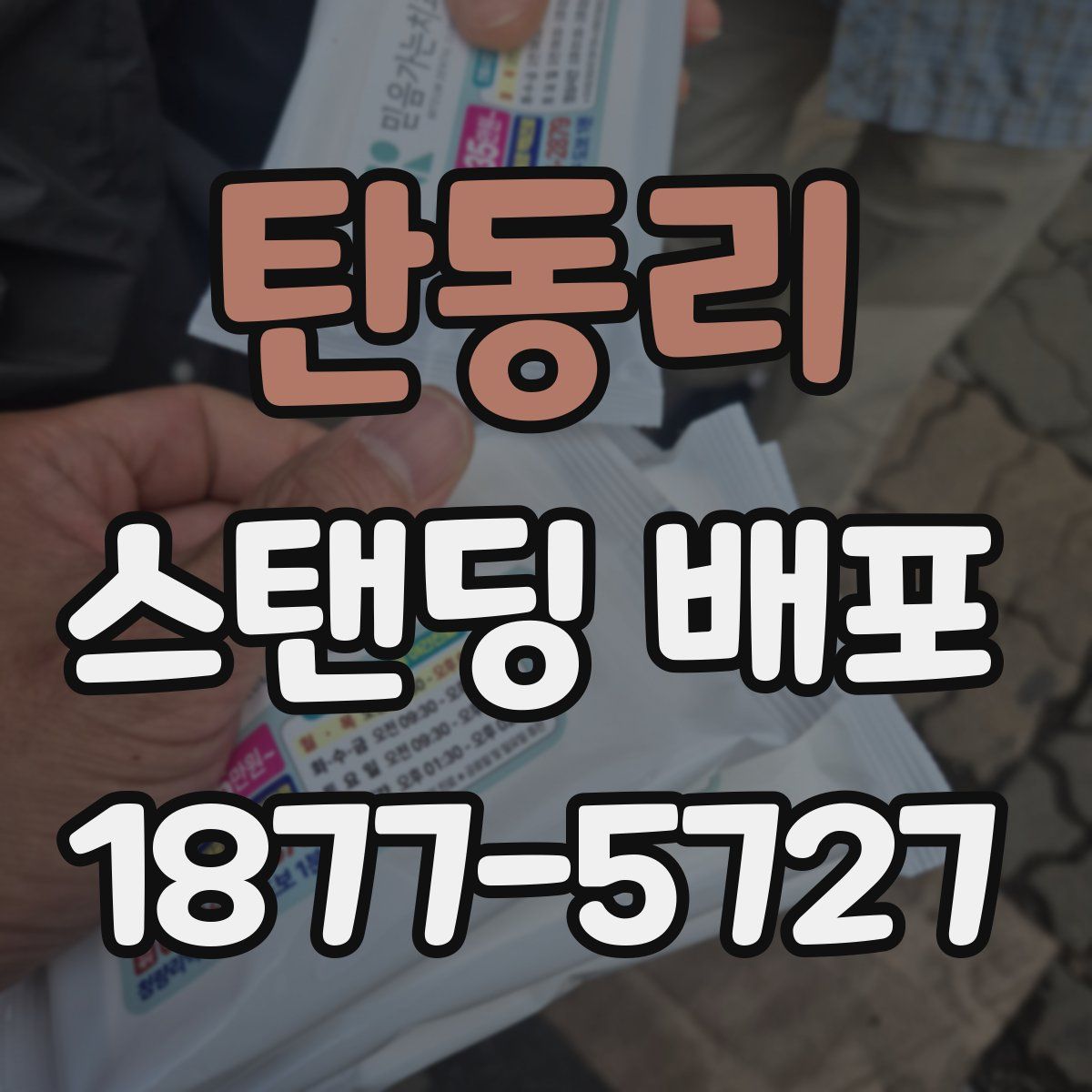 탄동리 스탠딩 배포