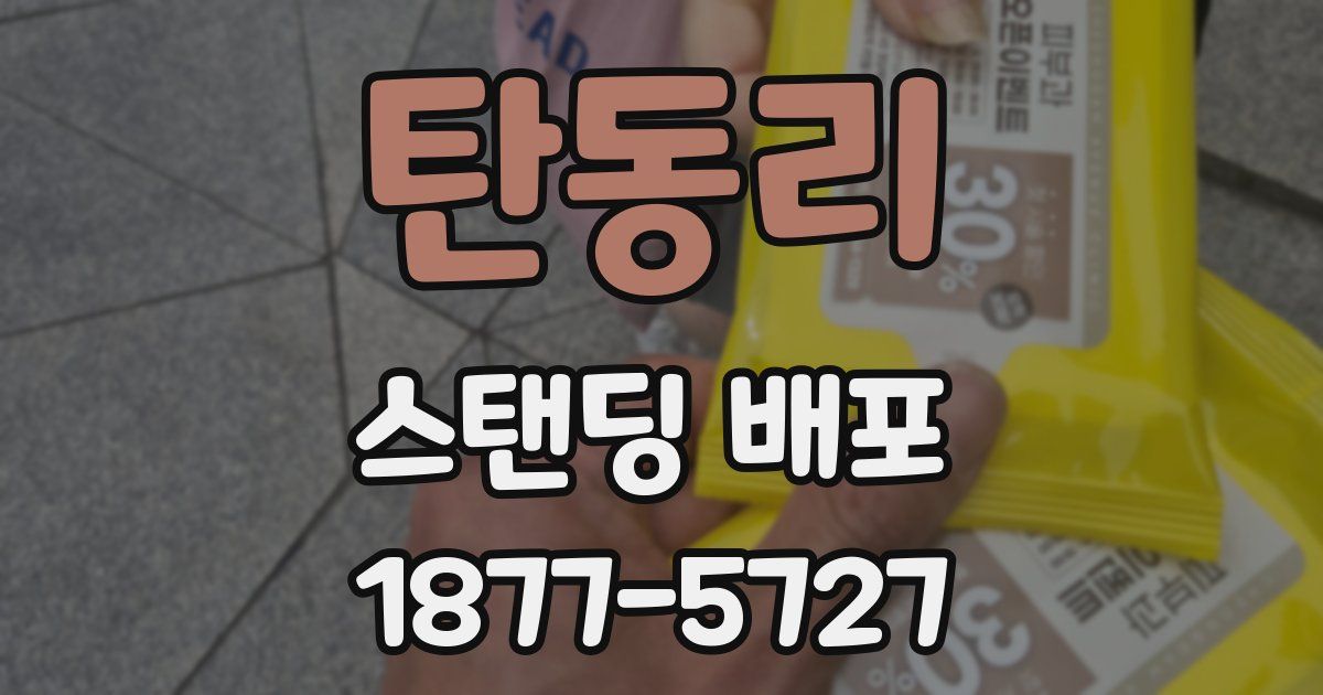 탄동리 스탠딩 배포
