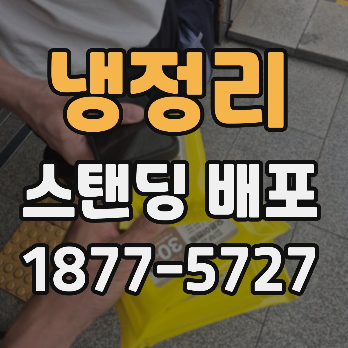 냉정리 스탠딩 배포