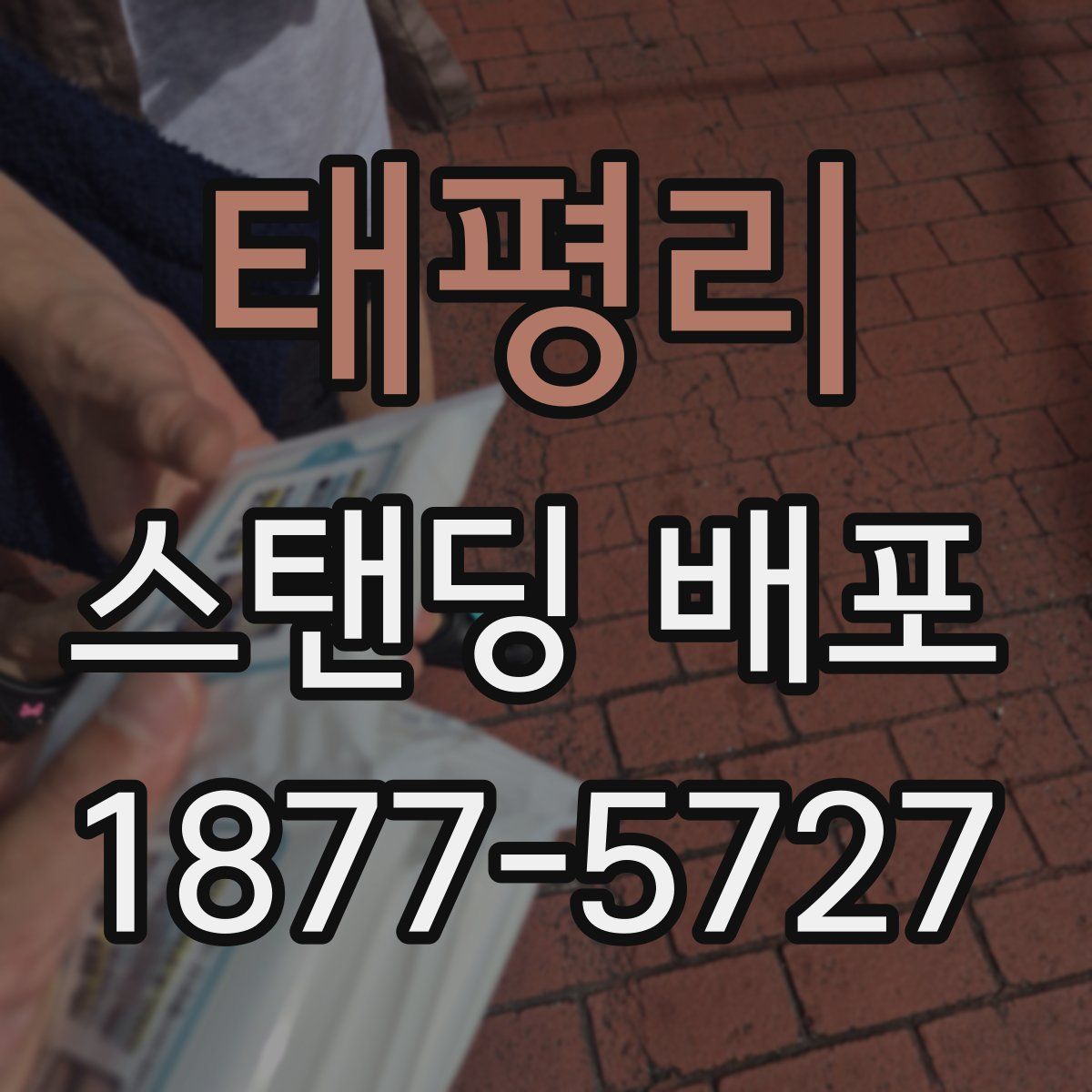 태평리 스탠딩 배포