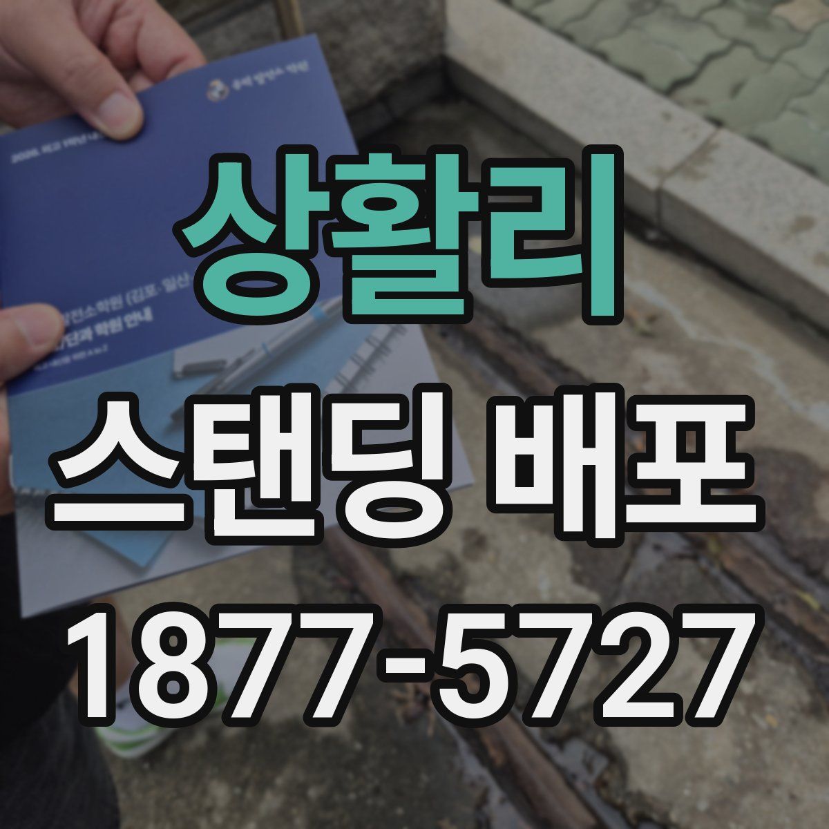 상활리 스탠딩 배포