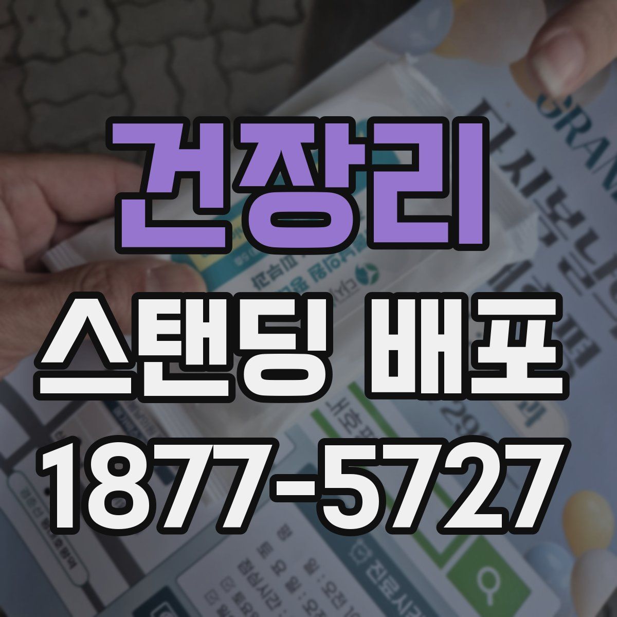 건장리 스탠딩 배포
