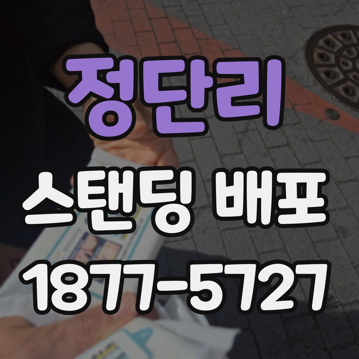 정단리 스탠딩 배포