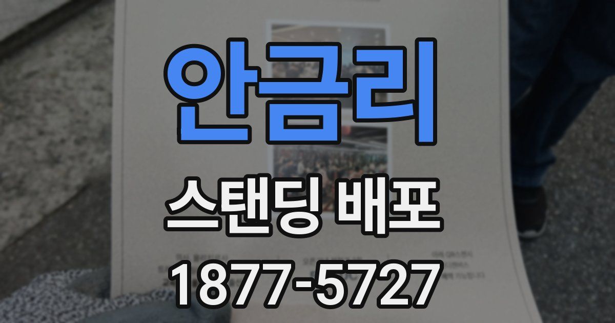 안금리 스탠딩 배포