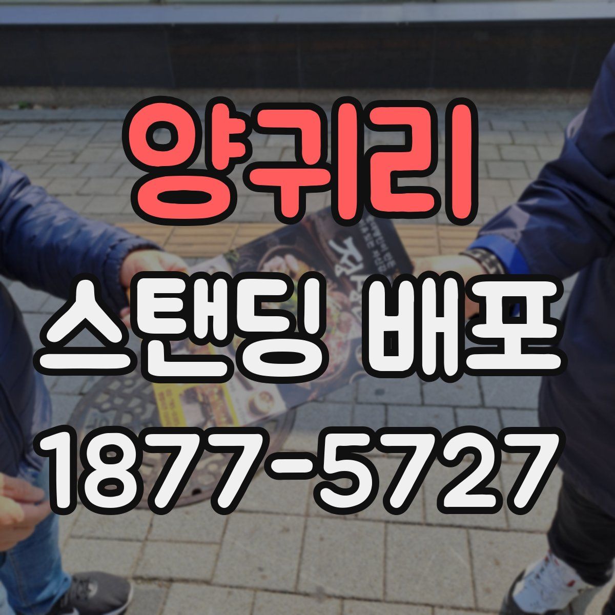 양귀리 스탠딩 배포